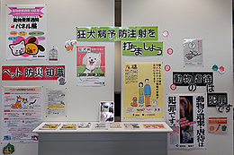 『動物愛護週間パネル展（浦安市）』