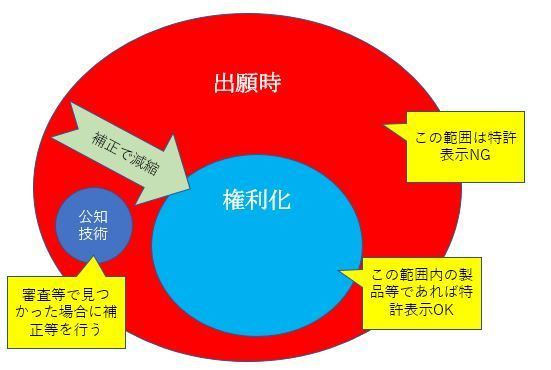 権利範囲の減縮