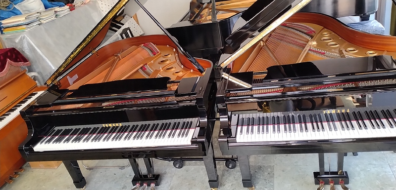 左：C3　　右：C5B