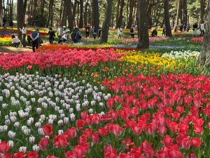 ゴールデンウィーク期間中の営業について