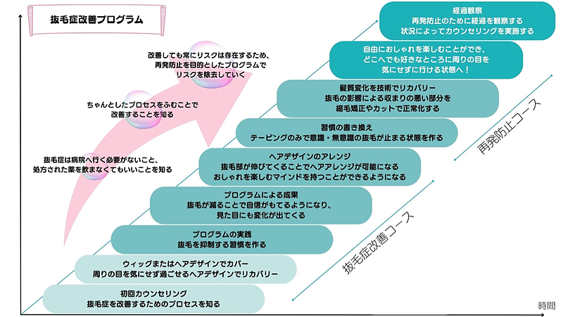 【年間プログラム成長プロセス】