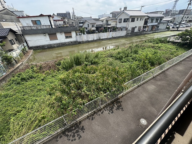 賃貸管理 除草 伐採 清掃 ビフォーアフター