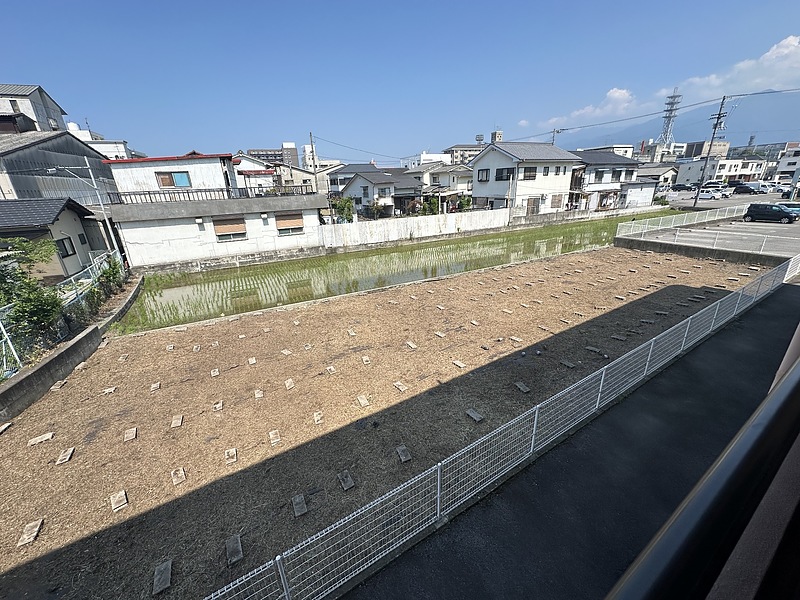 賃貸管理 除草 伐採 清掃 ビフォーアフター