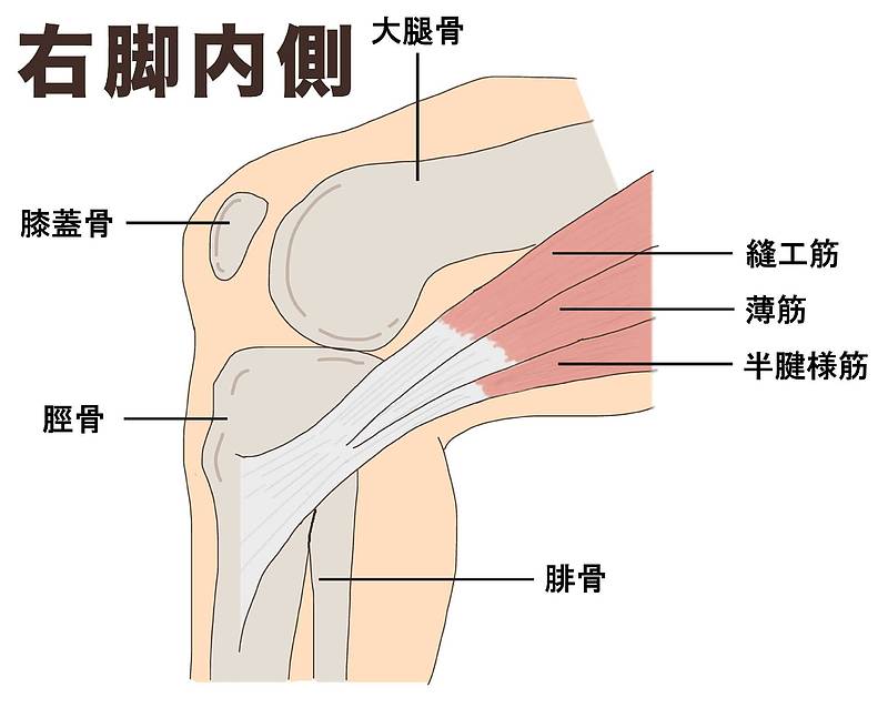 鵞足