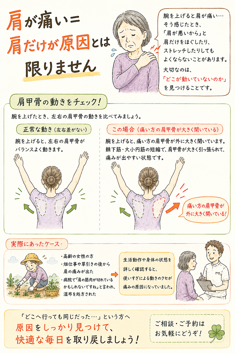肩の痛み　肩甲骨