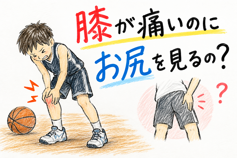 膝が痛いのに お尻を見るの？