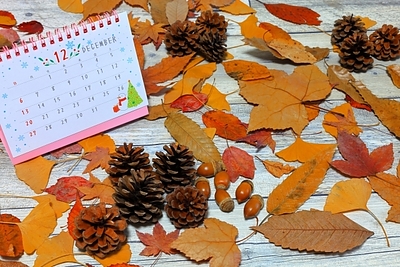 【秋掃除】忙しい人ほど今がチャンス！“少し早め”で年末が変わる掃除の始め方