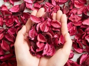 ものを片づける以上に大切なこと。“ありがとう” でつながる暮らしの整え