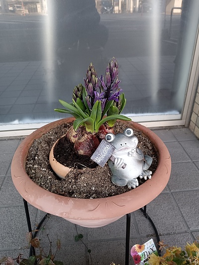 スクールカラーはブルー　