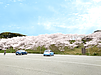 【糸島可也山】桜の季節だけ登れる登山ルート | 糸島の不動産屋BAYLEAF