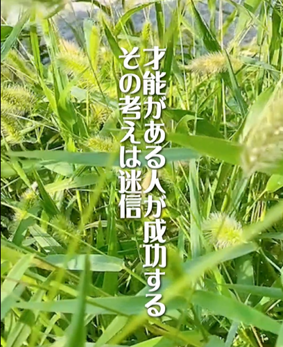 草