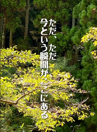 「今、ここ」を全力で生きる – 芭蕉の句に隠された人生のヒント