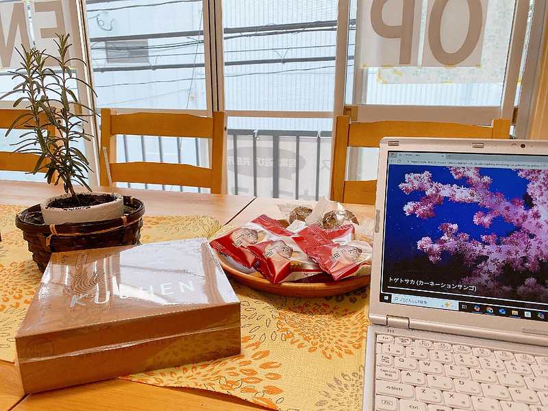 プチッチ起業家オフィス