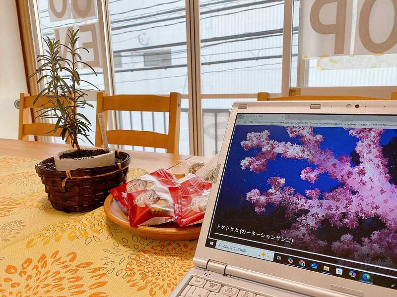 プチッチ起業家オフィス