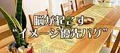 脳が起こす“イメージ優先バグ”