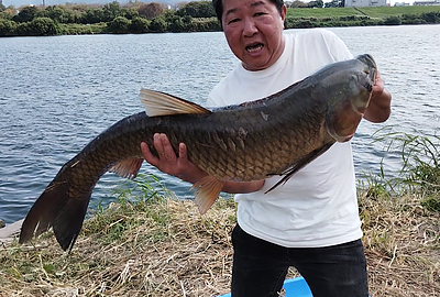 鯉と草魚の記録｜水辺で出会った大きな魚たち
