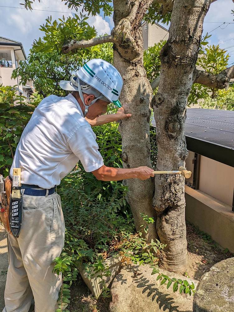 古賀俊明 こがとしあき