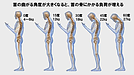 頭の位置大丈夫ですか？