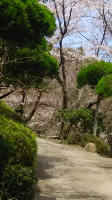 古賀市　興山園