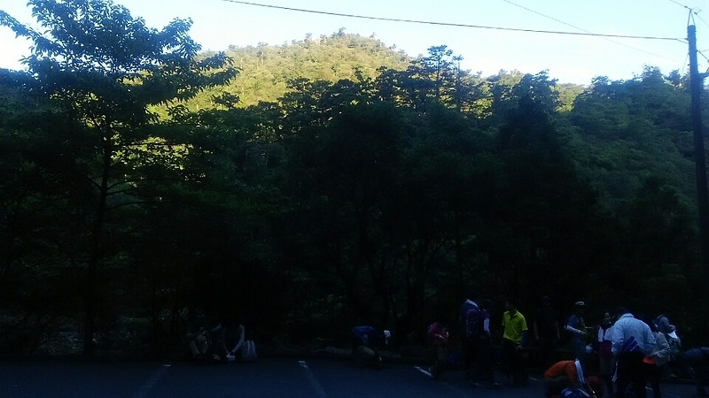 屋久島　縄文杉　トレッキング　神秘