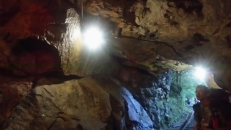 屋久島　縄文杉　トレッキング　神秘