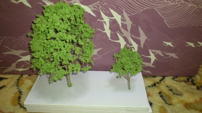 建築模型　樹　木