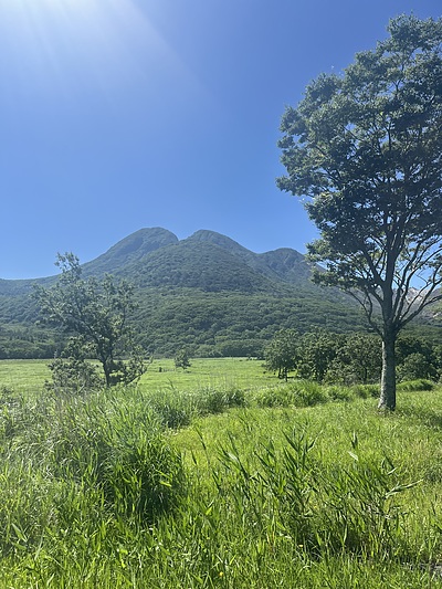 自然を感じる感性が、豊かな空間をつくる