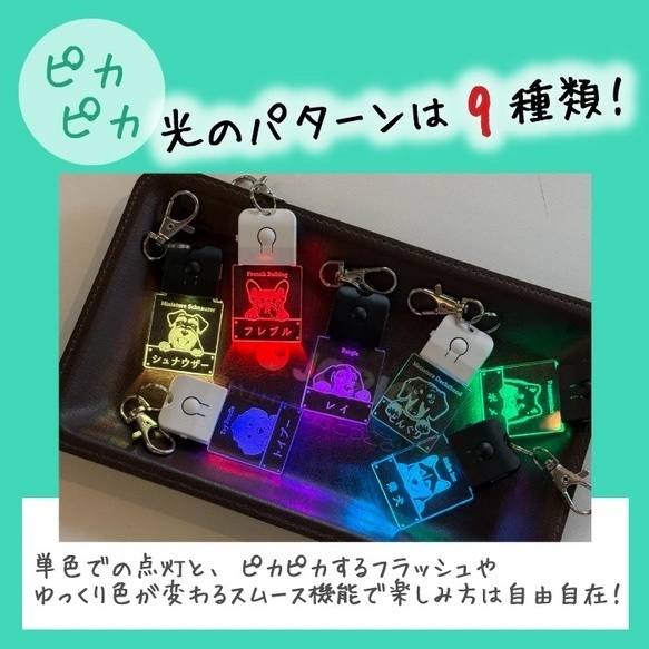 お散歩わんチャームsub3