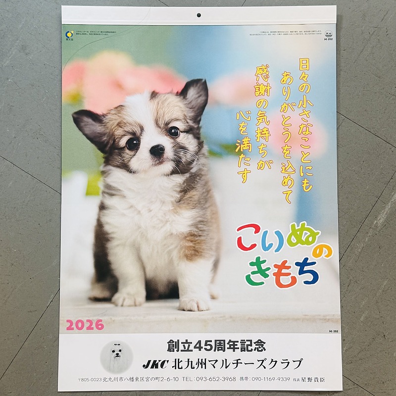 北九州マルチーズクラブカレンダー