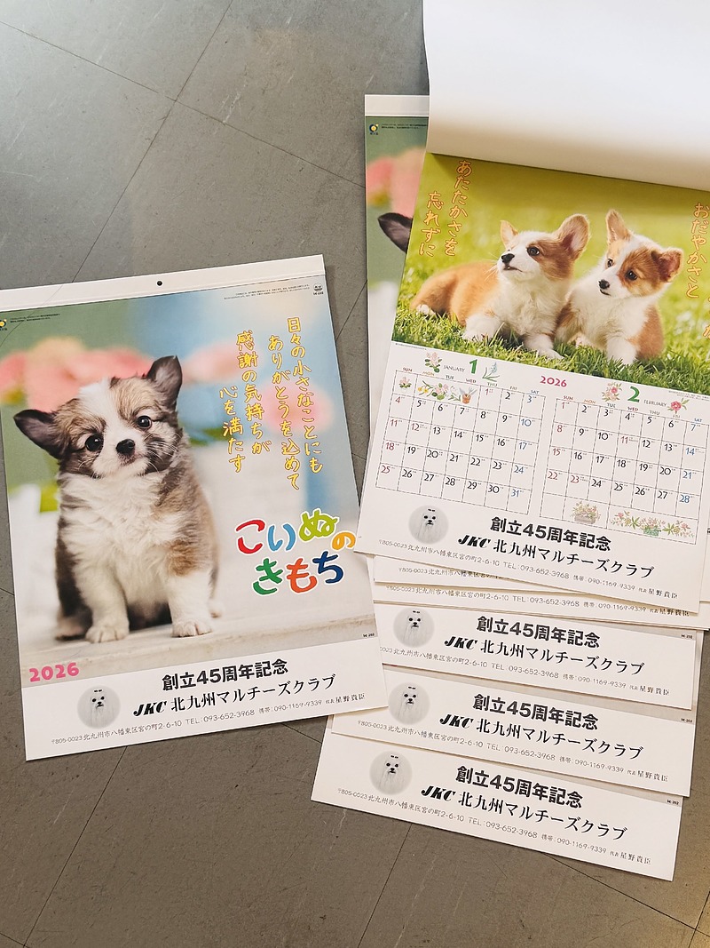 子犬の気持ちカレンダー