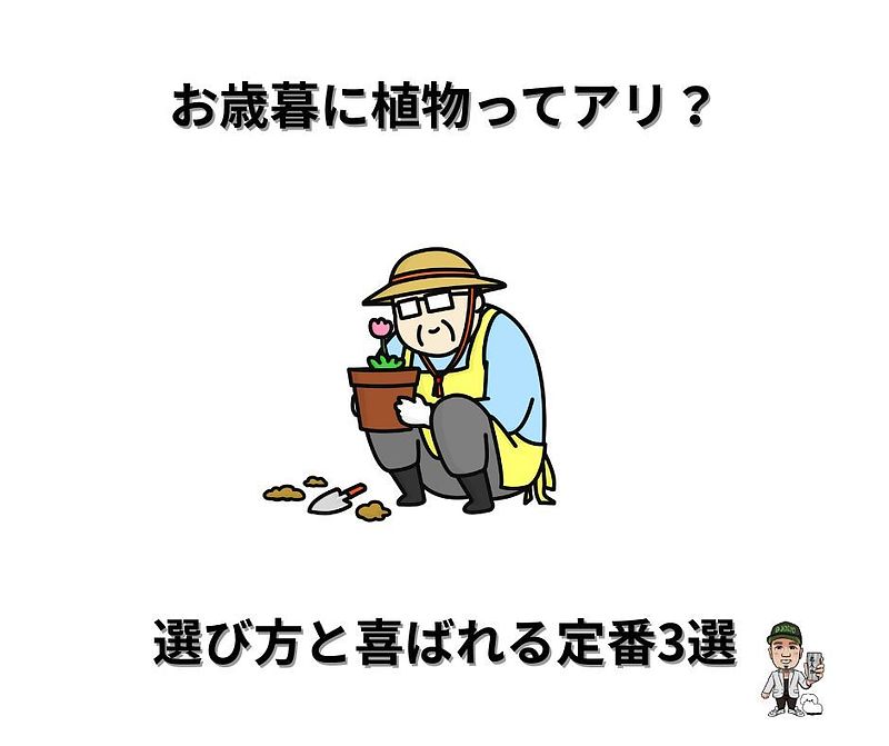 お歳暮に植物 お歳暮に植物