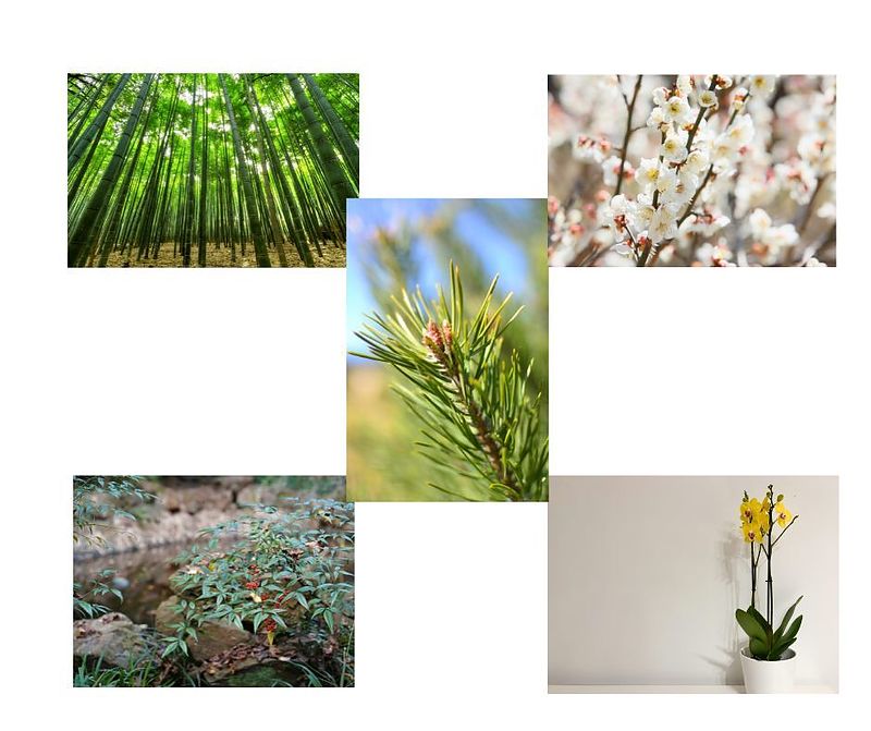 縁起の良いモチーフ