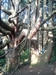 木の癒し　福岡の注文住宅設計　無垢材・自然素材