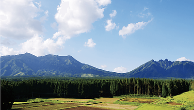 熊本・阿蘇は南国じゃない？厳しい気候が育てる“特別なひのき”の秘密