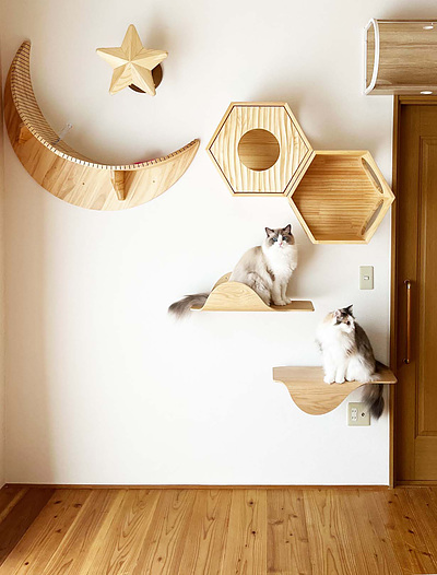 ペットと住むリフォームで快適と安全性を両立する新常識ガイド