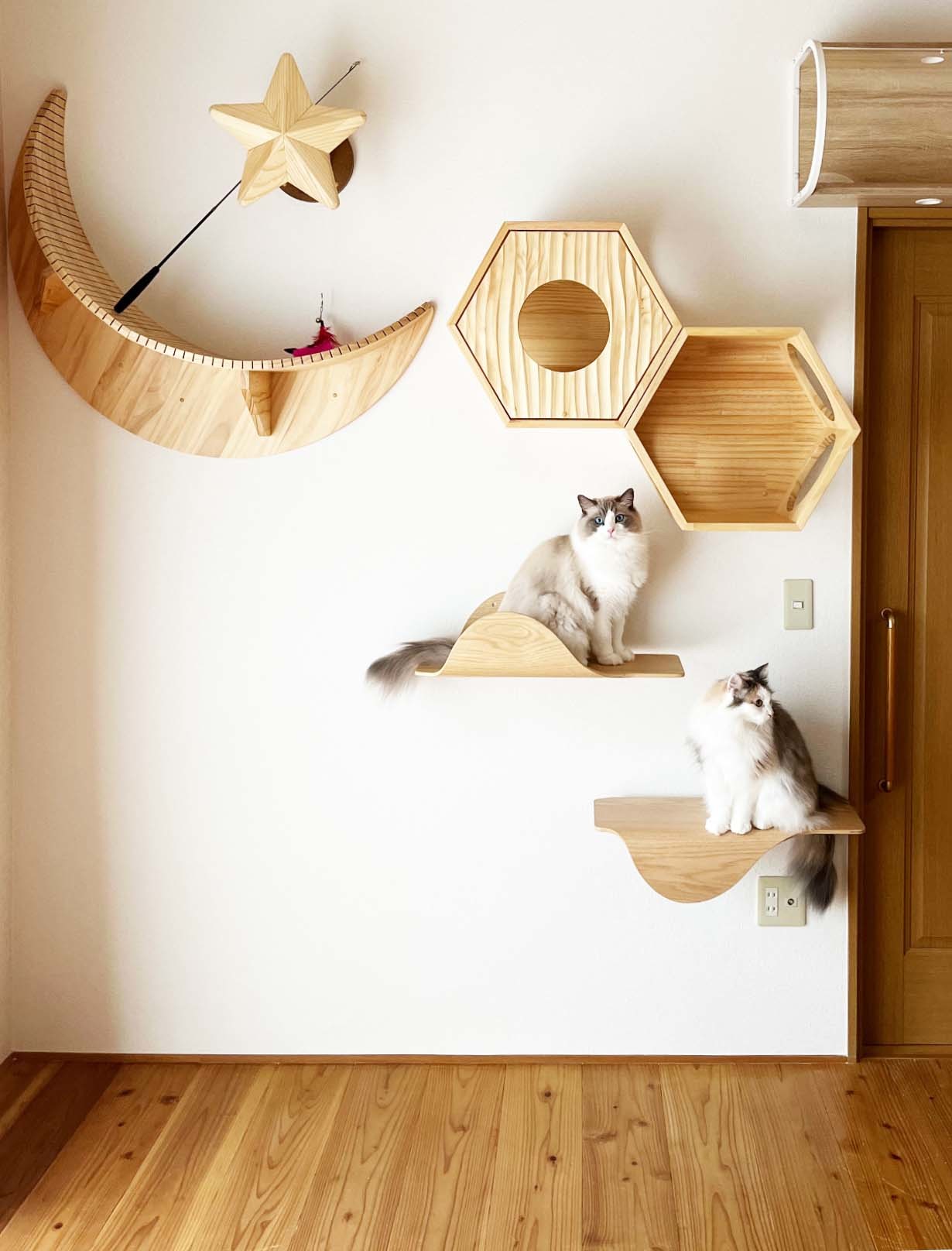 キャットウォーク3