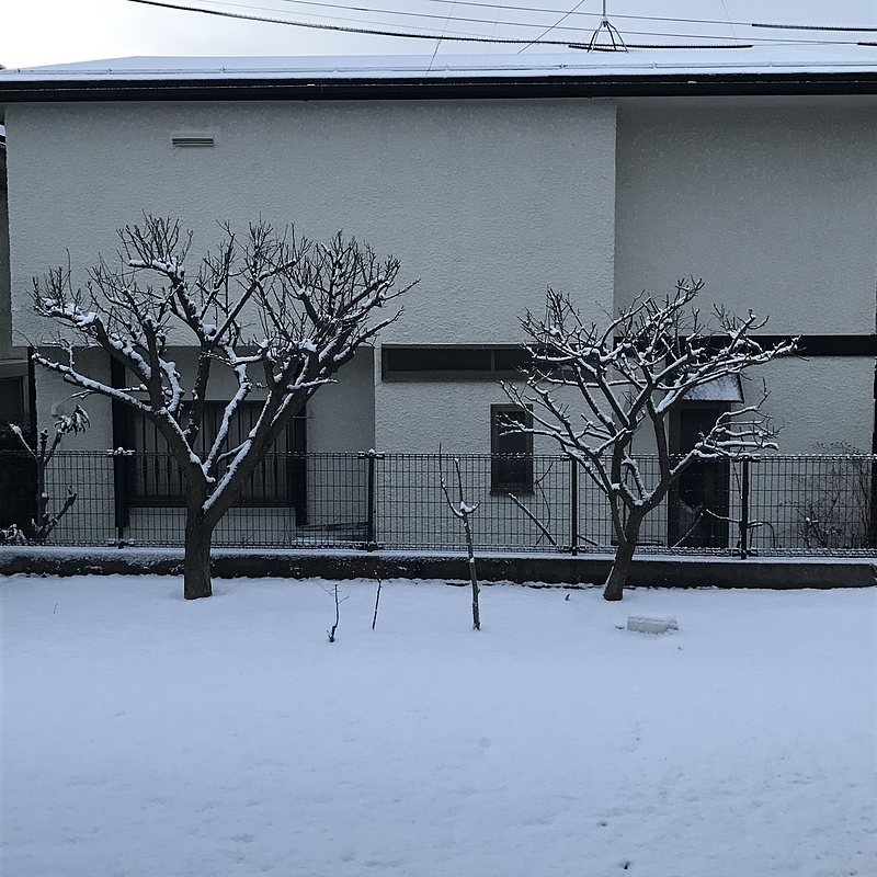 17.2.21 雪景色