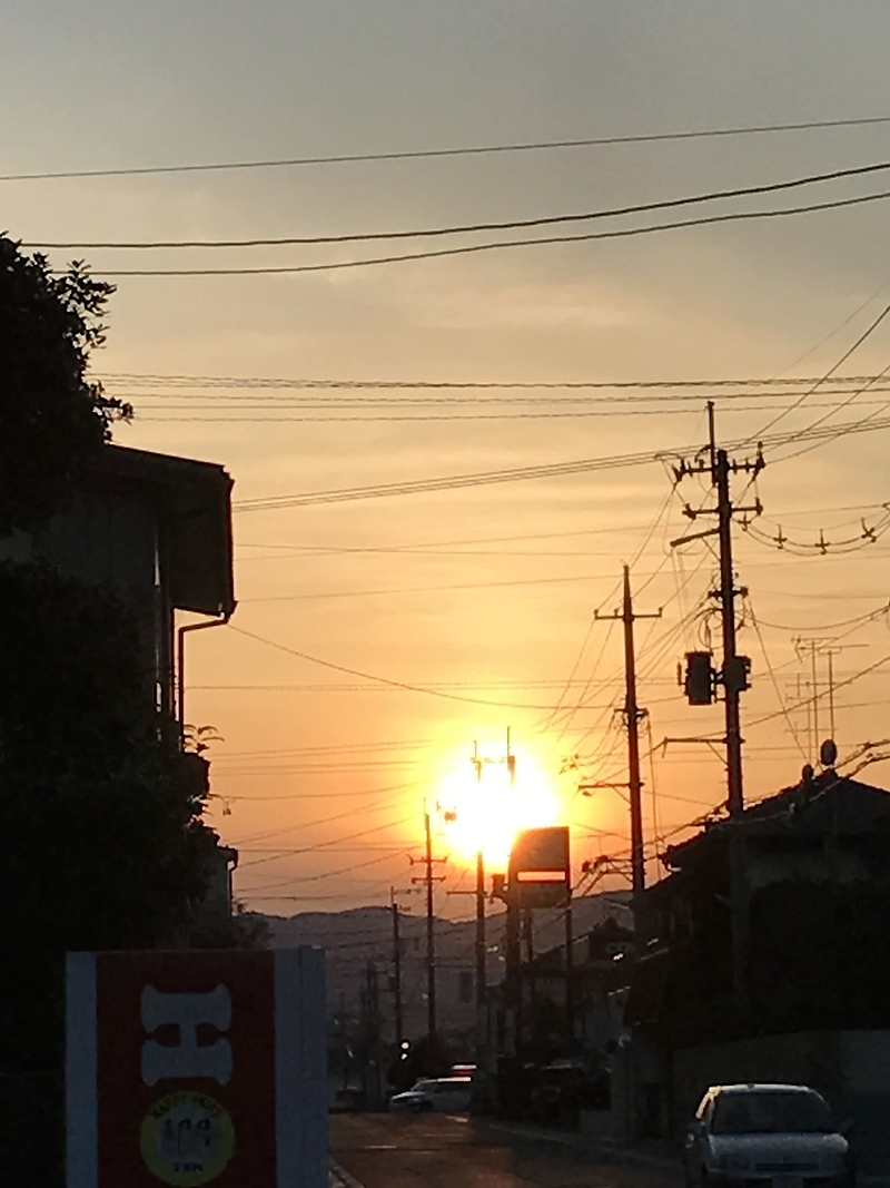 17.3.12 夕陽