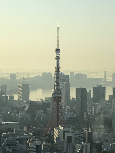17.4.16 東京タワー