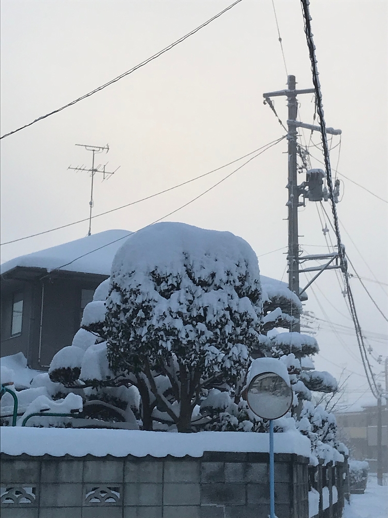 18.1.23 大雪