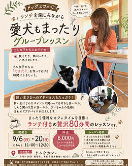 愛犬のまったりを極めるグループレッスン
