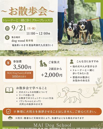 急遽開催！お散歩グループレッスン