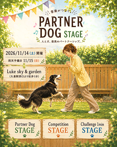 PARTNER DOG STAGE
