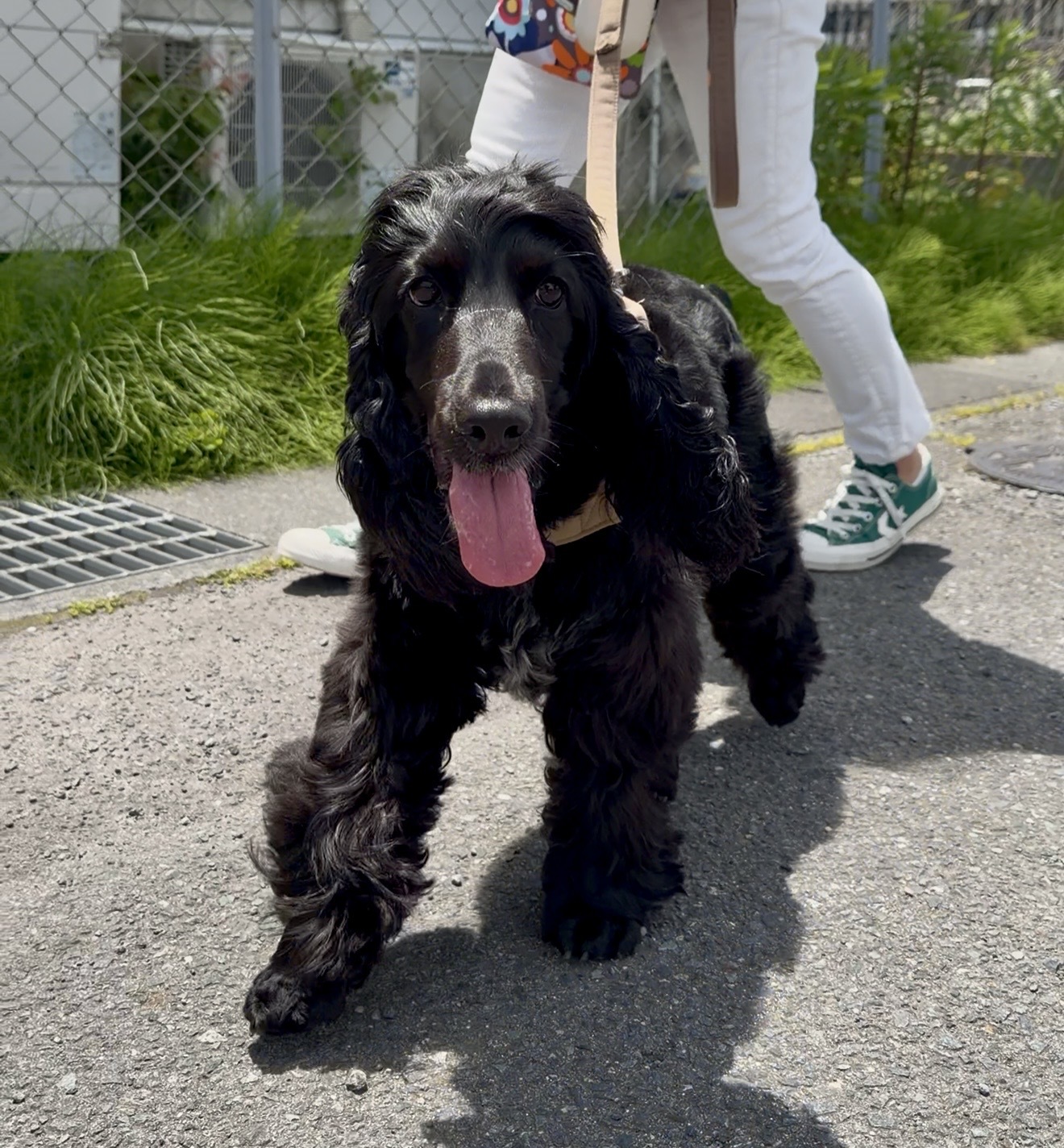 みんなのペースに合わせて歩けました！