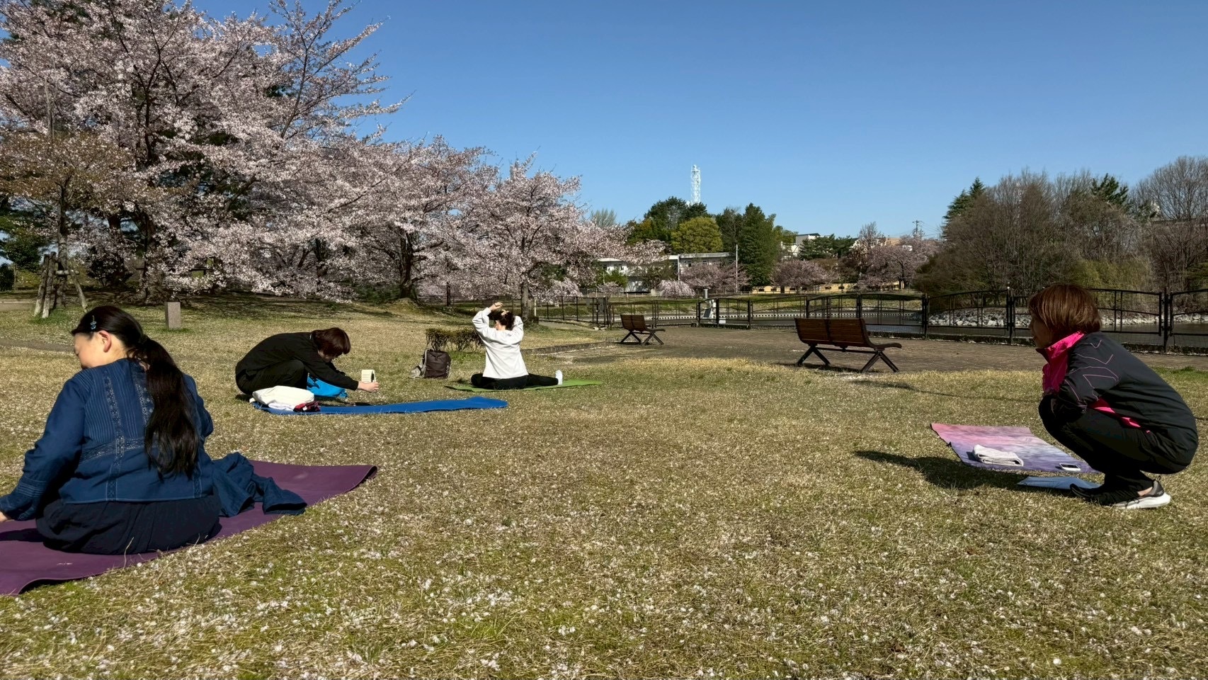 4月12日桜の木の下で