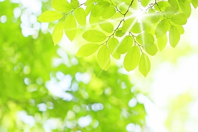 新年のごあいさつ