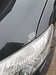 たかが鳥のフンと放置は絶対NG！車の塗装を内部から破壊する恐るべき理由と、プロの完璧な修復術