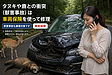 タヌキや鹿との衝突（獣害事故）は車両保険が使える？山道での「アニマルストライク」修理と見えないダメージ
