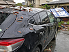 台風で飛んできた瓦や看板で愛車がボコボコに…。自然災害時の車両保険ルールと、塗装を活かす「デントリペア」