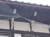 屋根に燕やハトが巣をつくるのを防ぐ方法ってあるの？はい、ありまーす！
